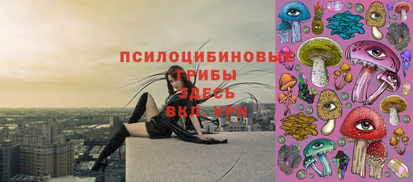 ешки Алексеевка