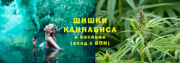 ешки Алексеевка