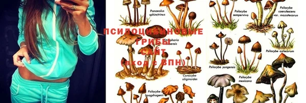 ешки Алексеевка