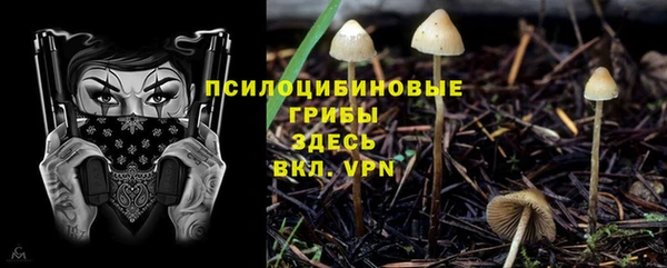 ешки Алексеевка