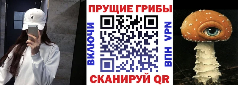 цены наркотик  Жуков  omg вход  Псилоцибиновые грибы мухоморы 